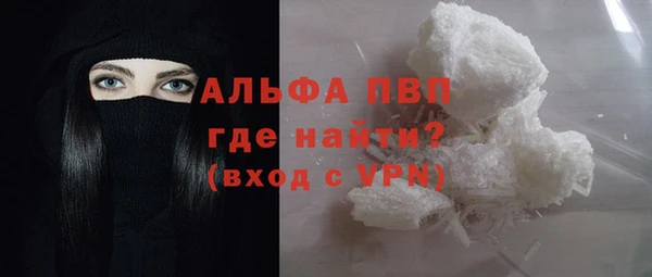 гидра Володарск