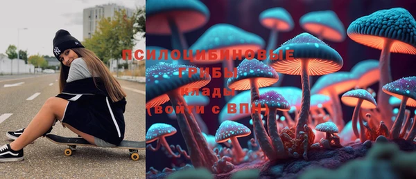 гидра Володарск