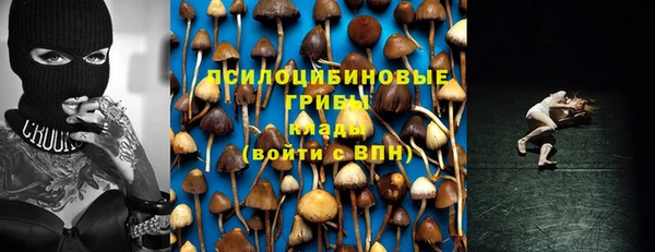 гидра Володарск